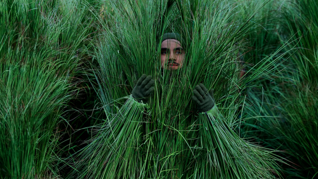 Bad Bunny hizo historia en el Super Bowl 2026: Una fiesta latina con Lady Gaga y Ricky Martin